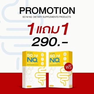 โซนิเอ็นคิว Soni nq 1แถม1=2กล่อง วิตามินลดบวม