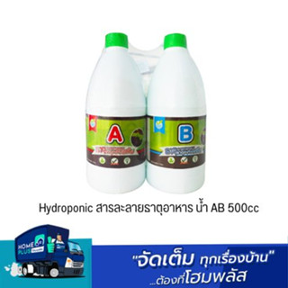 Hydroponic สารละลายธาตุอาหาร น้ำ AB 500cc