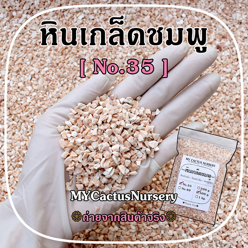 หินเกล็ดชมพู หินแกลบชมพู หินเกล็ด หินโรยหน้ากระถางแคคตัส หินแม่น้ำ หินชมพู หินสีชมพู หินตู้ปลา หินตกแต่งสวน - รูปที่ 3