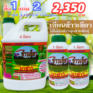 [พร้อมส่ง] เซียนข้าวเขียว ขนาด 4 ลิตร 1แถม2 ปุ๋ย ฮอร์โมน ยาฉีดข้าว ปู่ยฉีดข้าว ฮอร์โมนบำรุงข้าว  ปุ๋ยน้ำ อะมิโน 26