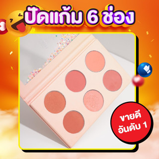 ( ราคาโปร ) ปัดแก้มพาเลทตลับใหญ่พิเศษ 6 สี