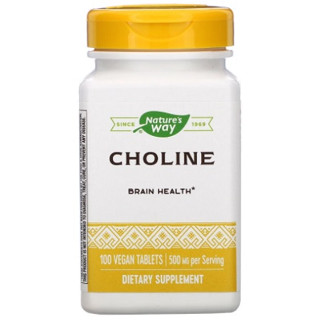 โคลีน Natures Way, Choline, 500 mg, 100 Vegan Tablets