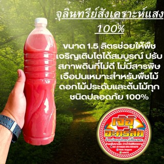 หัวเชื้อเข้มข้นจุลินทรีย์สังเคราะห์แสง 100%