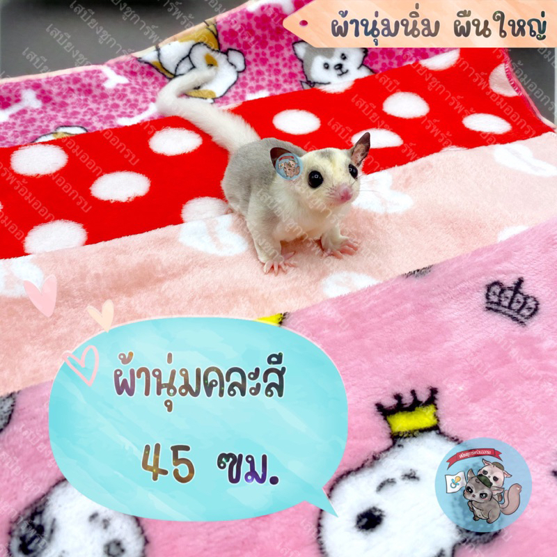 V ( ผ้านุ่มคละสี 45 ซม. )​ ผ้านุ่มนิ่ม​ ผ้าชูก้า ผ้านุ่มชูก้า ผ้าชูการ์ ผ้าสัตว์เลี้ยง ผ้าสัตว์เล็ก คละสีคละลาย