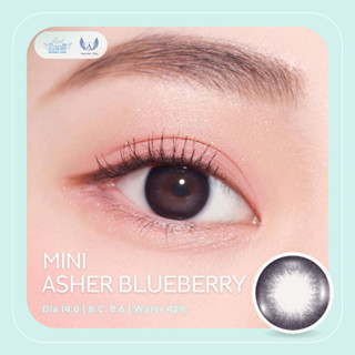 Angel Zone คอนแทคเลนส์ รุ่น 14.0 Mini Asher Blueberry (กล่องน้ำเงิน)(รายเดือน)