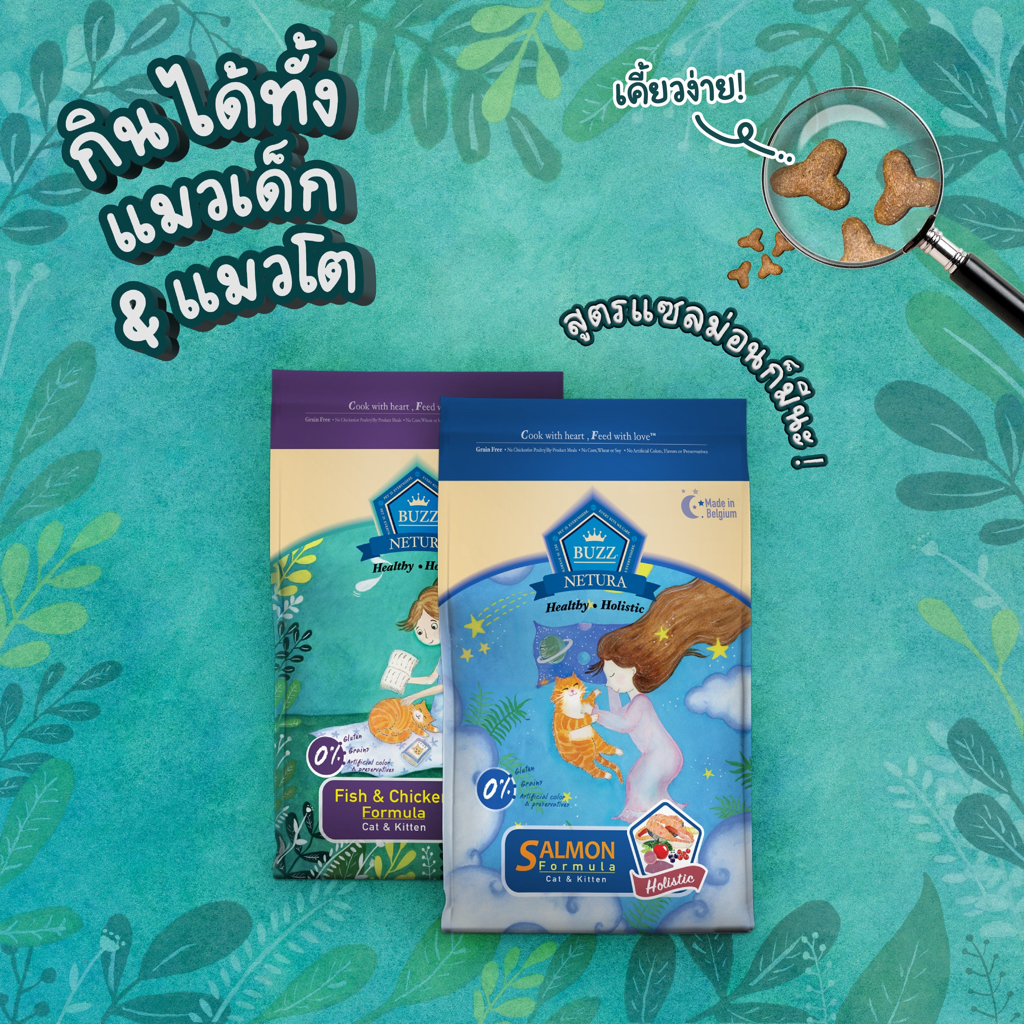 อาหารแมว Buzz Holistic Grain-free ขนาด 1 KG แบรนด์ไทยผลิตในเบลเยี่ยมและเนเธอร์แลนด์ ทานง่าย - รูปที่ 3