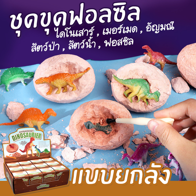 ยกลัง พร้อมส่งร้านไทย ชุดขุดฟอสซิล ชุดขุดไดโนเสาร์ ไข่ไดโนเสาร์ ของเล่นเด็ก ไข่ฟอสซิล ฟอสซิลไดโนเสาร์ fossil