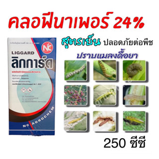 ลิกการ์ด คลอฟีนาเพอร์ 24% ยากำจัดหนอนดื้อยา หนอนตายยาก (250 ซีซี)