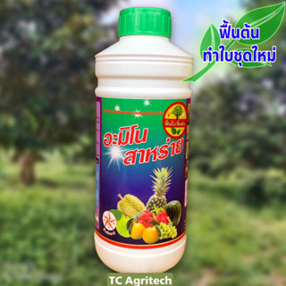 อะมิโน+สาหร่าย 1 ลิตร(เข้มข้น)สูตรสำหรับฟื้นต้น ทำใบชุดใหม่ เร่งการแตกยอดอ่อน ขยายใบ ใบหนาเขียว