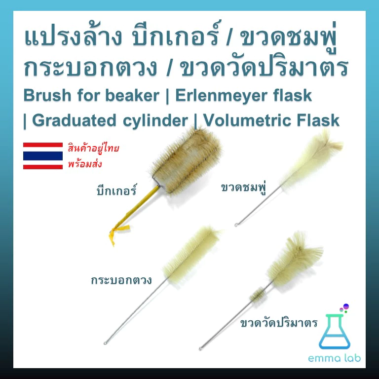 แปรงล้าง บีกเกอร์ ขวดชมพู่ กระบอกตวง ขวดวัดปริมาตร Brush for beaker Erlenmeyer flask Graduated cylinder Volumetric Flask