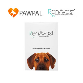 RenAvast เรนอะวาสท์ อาหารเสริมโปรตีน บำรุงไต สุนัข สัตว์เลี้ยง โรคไต Renal supplement dog