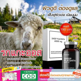 รกแกะ แบ่งขาย 10 แคปซูล ออสเตรเลีย SHEEP PLACENTA  ส่งฟรี