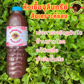 หัวเชื้อ จุลินทรีย์สังเคราะห์แสง เร่งราก ดอก ผล ดก