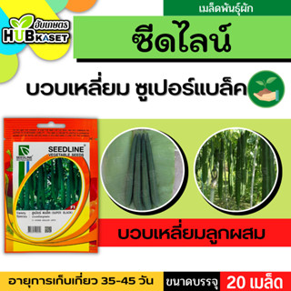 ซีดไลน์ 🇹🇭 บวบเหลี่ยมลูกผสม ซูเปอร์แบล็ค ขนาดบรรจุประมาณ 20 เมล็ด อายุเก็บเกี่ยว 35-45 วัน