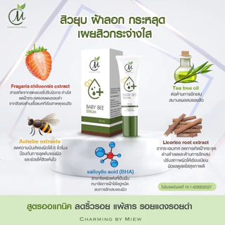 เซ็ตสิวหนัก เบบี้บี ชาร์มมิ่ง เซรั่มหยุดสิว สิวหนัก สิวติดสาร