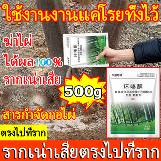 💥ตรงไปที่ราก!!💥ยาฆ่าต้นไม้ สารกําจัดกอไผ่ ยากำจัดต้นไม้  ผงกำจัดต้นไผ่ 500g สูตรเข้มข้น ไม่เป็นอันตรายต่อดิน