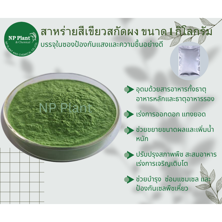 สาหร่ายสีเขียวสกัด ชนิดผง (Seaweed Extract) ละลายน้ำ100% เสริมการดูดซึมของพืช บรรจุ 1กิโลกรัม