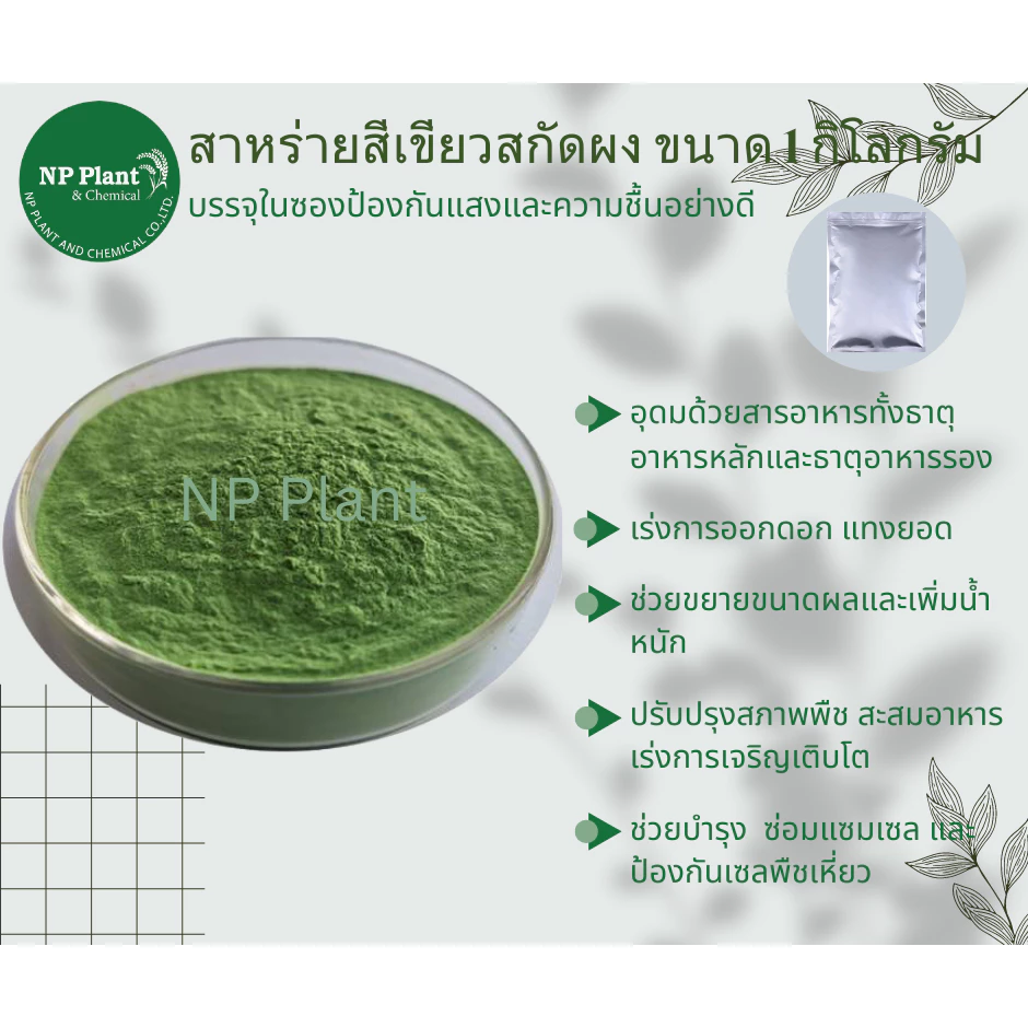 สาหร่ายสีเขียวสกัด ชนิดผง (Seaweed Extract) ละลายน้ำ100% เสริมการดูดซึมของพืช บรรจุ 1กิโลกรัม