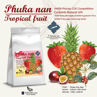 โรงคั่วกาแฟ น.น่าน เมล็ดกาแฟน่าน ภูคา Phuka Tropical Fruit เทคนิคแปรรูป ประกวด COE Thailand (23 / 86.1 ) Carbonic Dry