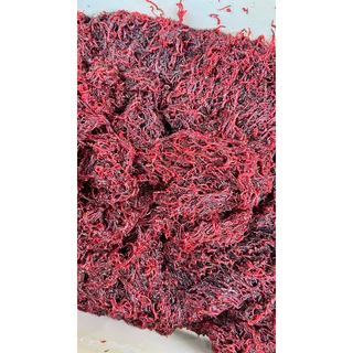 หนอนแดงแช่แข็ง 10ฟรี1 - 20ฟรี3 ส่งขนส่งแช่เย็น - สด ใหม่ อาหารปลาคุณภาพ ผ่านกระบวนการฆ่าเชื้อ