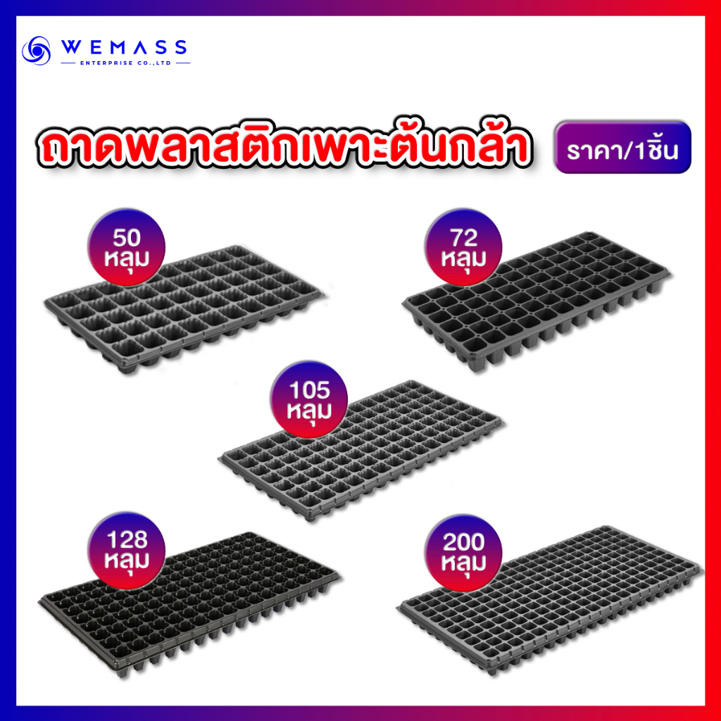 ถาดเพาะต้นกล้า ถาดเพาะเมล็ด (ราคา/1ชิ้น)