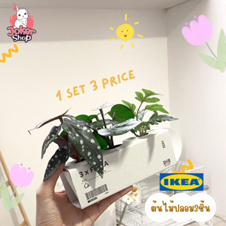 ใหม่!🐇🌻FEJKA เฟคก้า ไม้ประดิษฐ์ในกระถาง 3 ชิ้นจาก ikea ต้นไม้ปลอมตกแต่งบ้าน สินค้าคุณภาพดี น่ารักมากๆเลยค่า