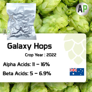 Galaxy Hops Pellets T-90 ฮอปส์ เพลลิท ทำเบียร์​ Homebrew Crop 2022 1oz [ BARTH HAAS ]