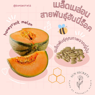 เมล็ดพันธ์ุเมล่อนฮันนี่ร็อค(honeyrock melon)🍈 #นำเข้าจากญี่ปุ่น