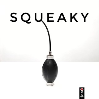 ตัวเป่าลมทำความสะอาดเครื่องบด SQUEAKY