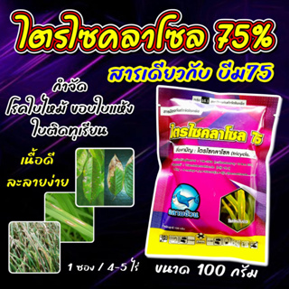 ไตรไซคลาโซล สารเดียวกับ บีม75 100 g. ยาเชื้อรา สารป้องกันกำจัดโรคพืช สารกำจัด และ ป้องกัน โรคพืช ใบไหม้ ขนาด 100 กรัม