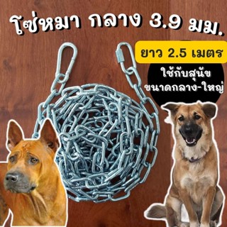 [2.5เมตร,กลาง] โซ่หมา หนา 5/32" หรือประมาณ 3.97 มม.โซ่หมาใหญ่ สุนัขใหญ่ โซ่พลัง โซ่สุนัข โซ่ล่ามหมา โซ่ล่ามสุนัข