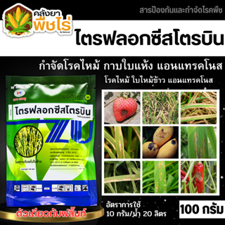 🌽 บีนทูไฟล์ (ไตรฟลอกซีสโตรบิน) 100กรัม ป้องกันเชื้อราเมล็ดด่าง แอนแทรคโนส กาบใบแห้ง