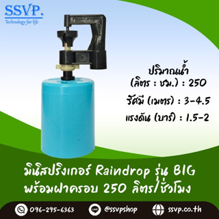 มินิสปริงเกอร์ รุ่น BIG พร้อมฝาครอบพีวีซี ขนาด 1/2" ปริมาณน้ำ 250 ลิตร/ชั่วโมง BIG-250-CO50 บรรจุ 10 ตัว