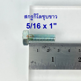 สกรูกิโลชุบขาว 5/16-18 x 1”(บรรจุ1กิโลกรัม)