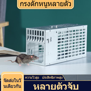 【ดส่งในพื้นที่ 🐀 กับดักหนูอัตโนมัติ 🐀】BIG Mousetrap กับดักหนู Mouse trap กับดักหนูนา กับดักหนูวงเดือน กับดักหนู