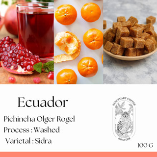 เมล็ดกาแฟ Ecuador Pichincha Olger Rogel Sidra