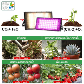 ใหม่อัพเกรด 220V LED Grow Light 300W Full Spectrum Greenhouse Hydroponics พืชปลูกโคมไฟสำหรับต้นกล้า