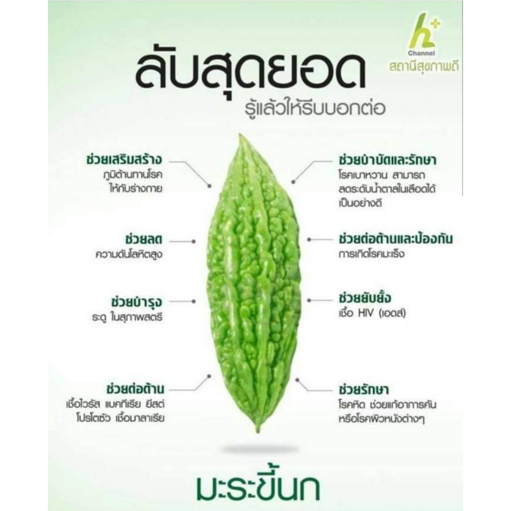 ชามะระขี้นกออร์แกนิค