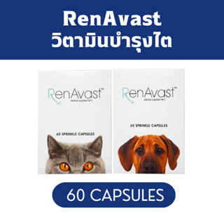 RenAvast DOG &amp; CAT อาหารเสริม บำรุงไตสุนัขและแมว 1 กล่อง บรรจุ 60 แคปซูล