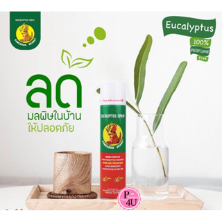 สเปรย์ ยูคาลิปตัส ตราจิงโจ้ Eucalyptus spray Kangaroo Brand กระป๋อง 300 ml.#5636