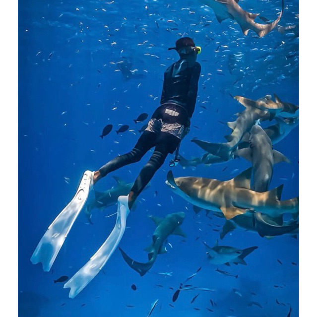 ODYSSEY ฟินฟรีไดฟ์ รุ่น EXXO ของแท้ไม่ต้องรอ  Pre พร้อมส่ง วัสดุThermoplastic คุณภาพสูง ออกแบบ และควบคุมการผลิตจาก UK