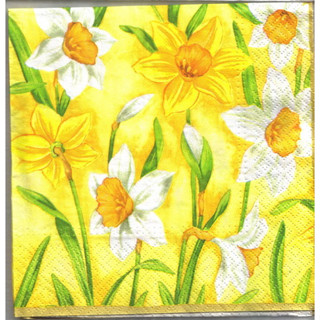 Pladao Napkin ภาพ ดอกไม้ ทุ่งดอก แดฟโฟดิล Daffodil กระดาษ แนพกิ้น สำหรับงานศิลปะ เดคูพาจ decoupage ขนาด ขนาด L 33x33