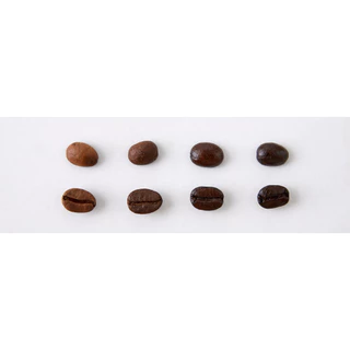 Roast.Lab.BKK เมล็ดกาแฟปางขอน เกรด AA washed process คั่วใหม่ๆสดทุกออร์เดอร์