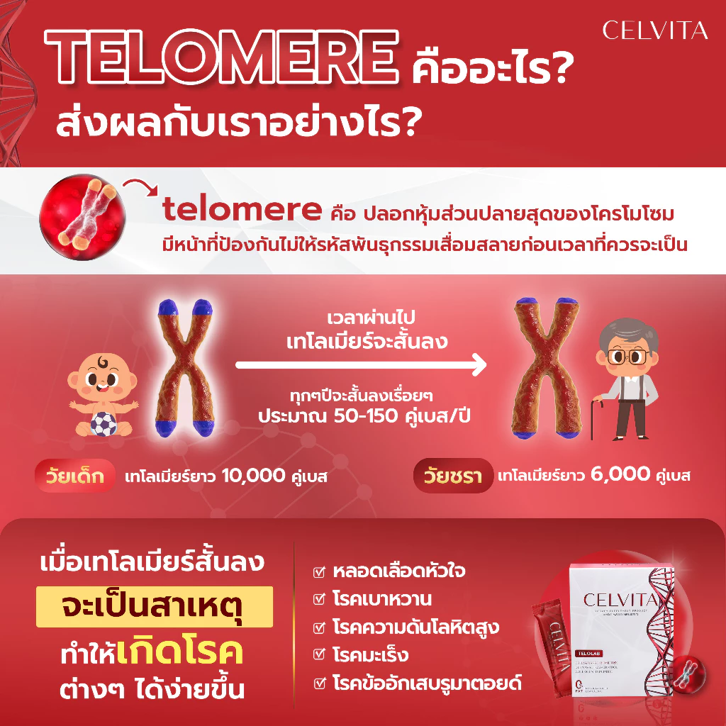 อาหารเสริมเพื่อสุขภาพ Celvita บำรุงร่างกาย ย้อนวัย ชะลอวัย thumbnail 4
