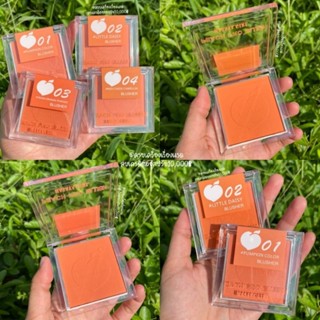 บลัชออ​น​ ปัดแก้ม Hasaya Girl​ Blusher เนื้อแมท เนื้อชิ​มเมอร์​ โทนส้มพีช ส้มตุ่น ส้มอิฐ สีสวย ติดทนนาน