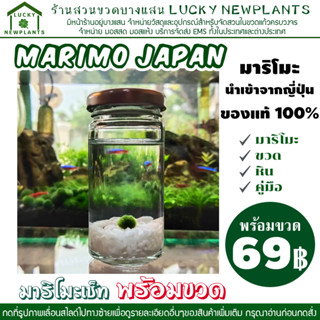 มีของพร้อมส่ง Marimo มาริโมะ เซ็ท พร้อมขวด #U เลื่อนรูปภาพเพื่อดูรายละเอียดของสินค้า