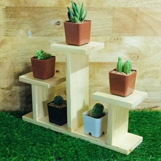 ชั้นวางต้นกระบองเพชร 😷 ไม้วางของ วางของขาย วางโชว์ วางกระบอง…