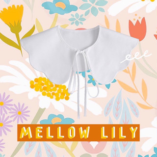 พร้อมส่ง 🧡 MELLOW LILY 🧡 ปกคอถอดได้ ปกคอปลอม สีขาว ผ้าฝ้ายอย่างดี เกาหลีเกาใจ ญี่ปงญี่ปุ่นได้ทุกสไตล์