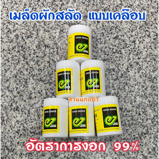เมล็ดพันธุ์ผักสลัด แบบเมล็ดเคลือบ ENZA ZADEN อัตราการงอก 99% แบ่งบรรจุ 20 เมล็ด