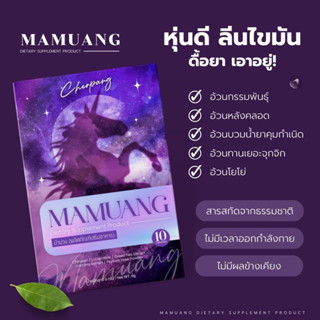 ม้าม่วง Maamuang สมุนไพรลดน้ำหนัก ลดความอ้วน ช่วยคุมหิว อิ่มนาน ลดไว ไม่โยโย่ จบทุกปัญหา อ้วนหลังคลอด ดื้อยา ลดยาก